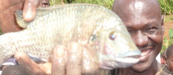 Fish and chips, Kenyan style