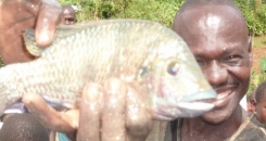 Fish and chips, Kenyan style