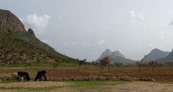 A Farm Africa day in Tigray