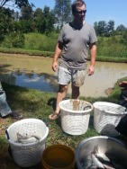Not a bad day's work - Ashley with tilapia harvested from the fish pond.