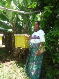 woman farmer in the Nou Forest with Langstroth beehive