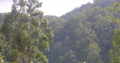 Postcard from Doha - Forest Day: It's the people, stupid