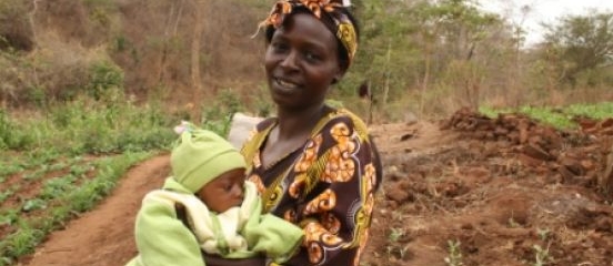 New seeds help farmers grow more food