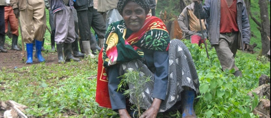 Postcard from Doha: Show me the money