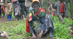 Postcard from Doha: Show me the money