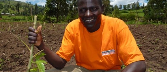 Sowing the seeds of success