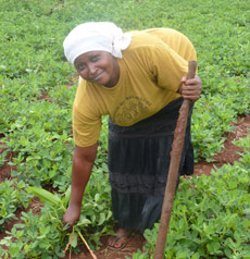 Joyce tending her field of beans