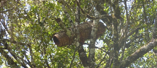 Postcard from Doha - Tick-tock