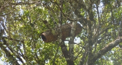 Postcard from Doha - Tick-tock