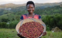 Download a Codicil Form