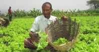 Enhancing market systems for improved sustainable livelihoods 