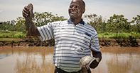 Kenya Market-led Aquaculture Programme