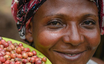 Farm Africa's strategic plan 2021-2025