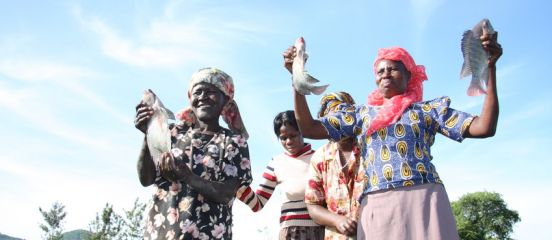 Celebrating International Women's Day 2014