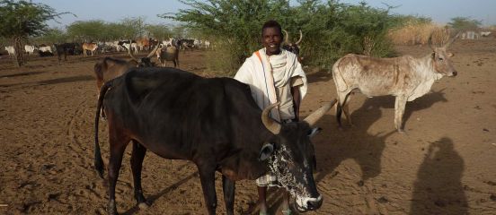 Farm Africa helps drought-affected pastoralists in Ethiopia