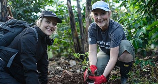 Ten years of Food for Good challenges 