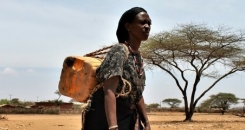 Cost of fertiliser spirals amid worsening food crisis