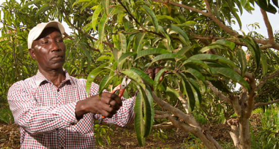 How African farmers are taking climate action