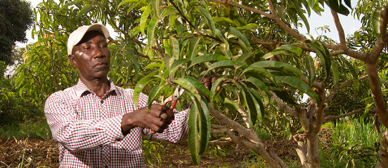 How African farmers are taking climate action