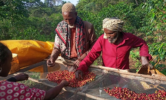 Abdurahim (centre), Chair of Gutity Cooperative