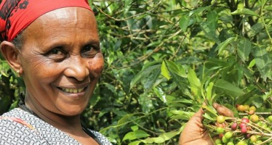 The coffee lady: looking success in the eye