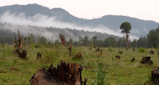 Making conservation profitable