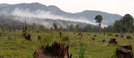 Making conservation profitable