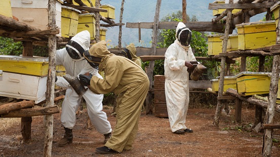 Beekeepers