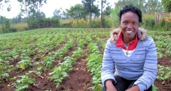 It's time for a business approach to African agriculture