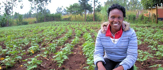 It's time for a business approach to African agriculture