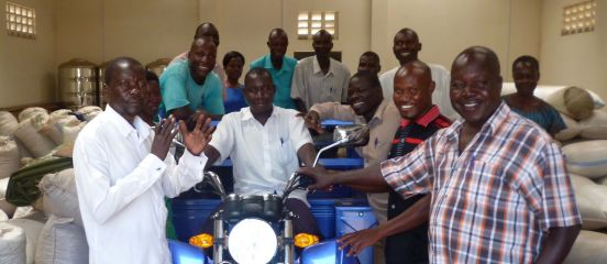 Trading spaces: how new markets are opening up for eastern Africa's smallholder farmers