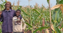 How much do we value agriculture?