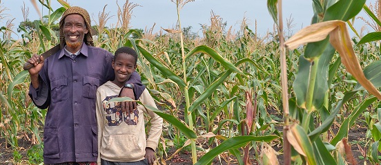 How much do we value agriculture?