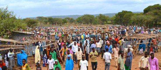 Making Markets Work for Smallholder Farmers 