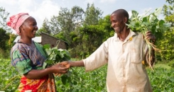 Three ways partnerships can fight rural poverty