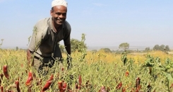 Why climate change should matter to you