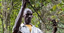 Agroecology in Action: Forest-Friendly Farming in Ethiopia