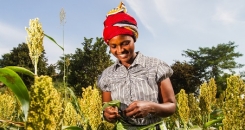 Why I'm considering a career in international development