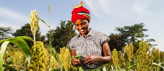 Why I'm considering a career in international development