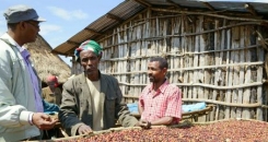 Why coffee is life in Ethiopia 