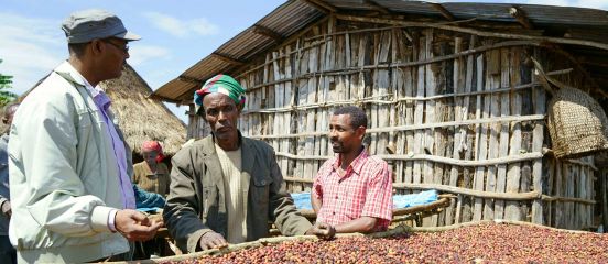 Why coffee is life in Ethiopia 