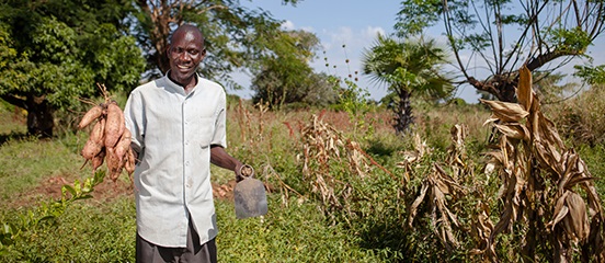 Potato power: how a switch from white to orange is tackling hidden hunger