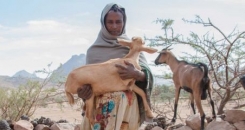 We need to invest in livestock for sustainable development