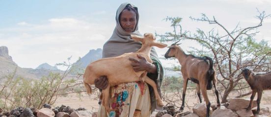 We need to invest in livestock for sustainable development