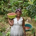 Women in coffee: working towards gender equality in Kanungu