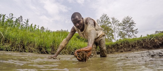 Charting a course towards a profitable inclusive Kenyan aquaculture sector