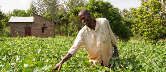 Farm Africa joins with new global snack brand Hippeas in a three-year partnership 