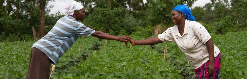 Corporate Partnerships