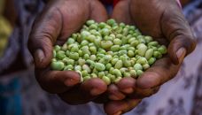 Recipes for Prosperity