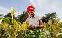 Support farmers today